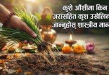 कुशे औँशीमा किन जरासहित कुश उखेलिन्छ? जान्नुहोस् शास्त्रीय मान्यता